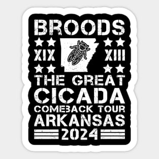 Great Cicada Comeback Tour Arkansas 2024 Cicada broods XIII and XIX in Arkansas Sticker